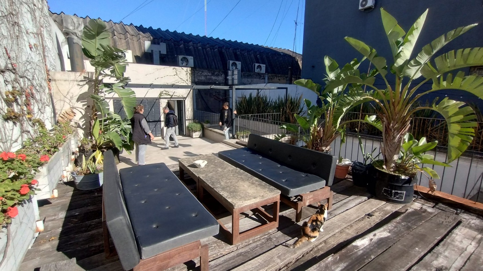 Imponente Casona de Autor + Local Comercial | Terraza