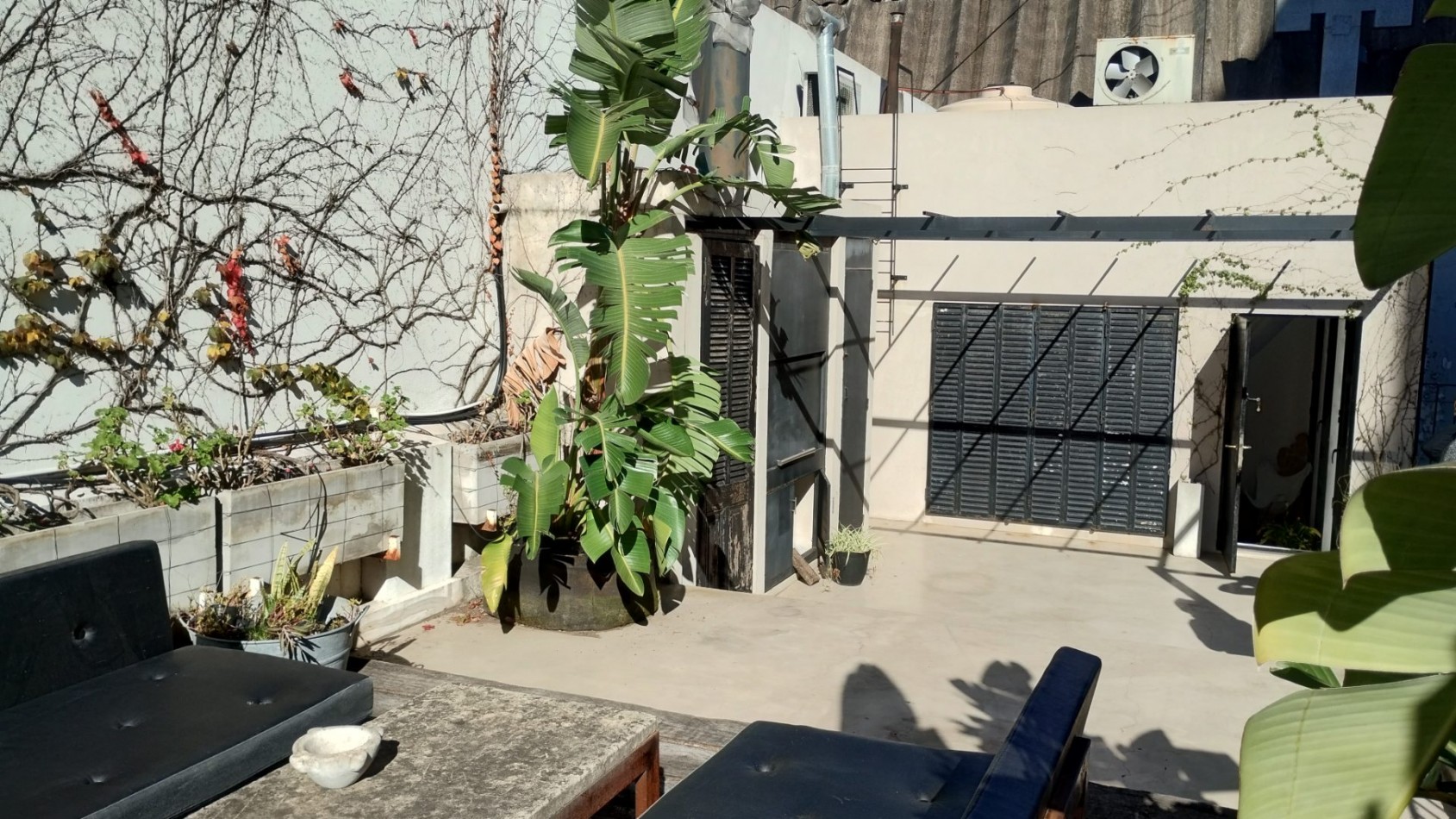 Imponente Casona de Autor + Local Comercial | Terraza